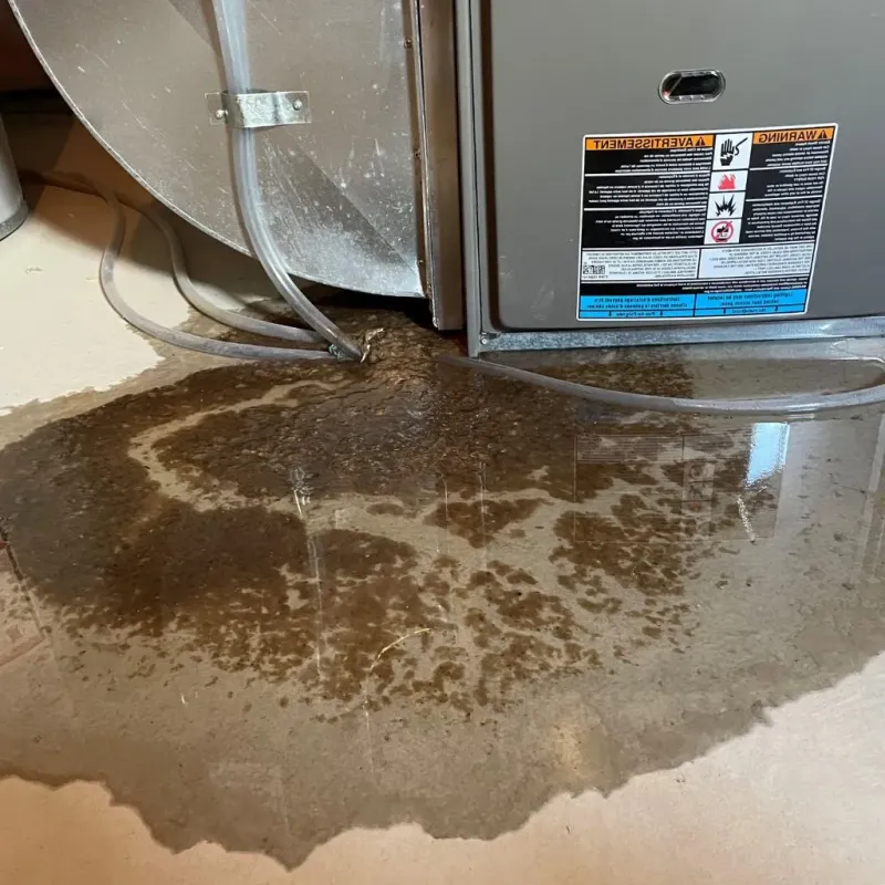 Pipe Burst and Leak Restoration in New Hartford, NY